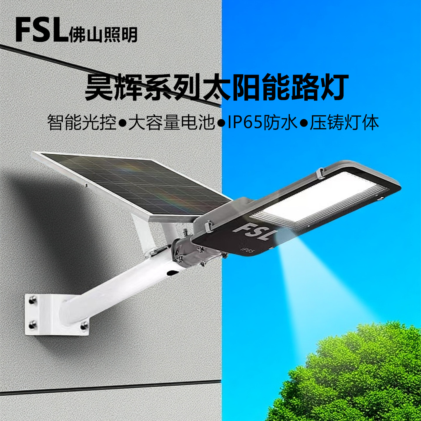 FSL太阳能路灯头IP65防水带遥控