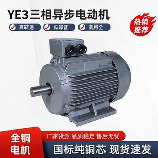 380V立卧式 三相异步交流电动机YE3 电机马达 160KW YX3 315L1
