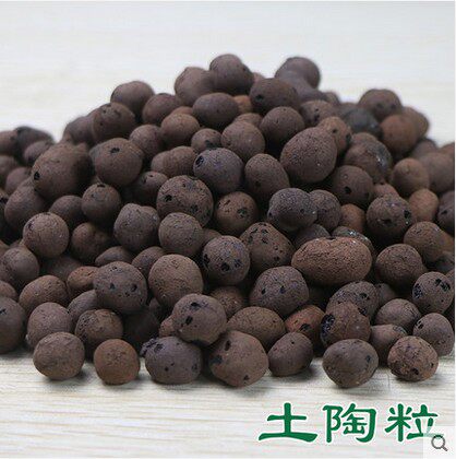 土陶粒 陶碳球 防止烂根效果好 隔水透气 陶粒 陶土粒无土栽培在类目 鲜花速递/花卉仿真/绿植园艺, 园艺用品, 家庭园艺肥料/营养土/营养液中 - 来自Buy2taobao.com提供专业的淘宝代购服务