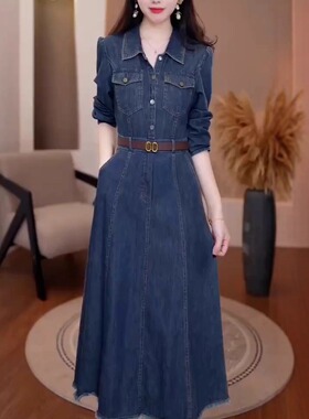 春秋新款高端时尚轻奢高级感港风设计十三行流行爆款牛仔连衣裙女