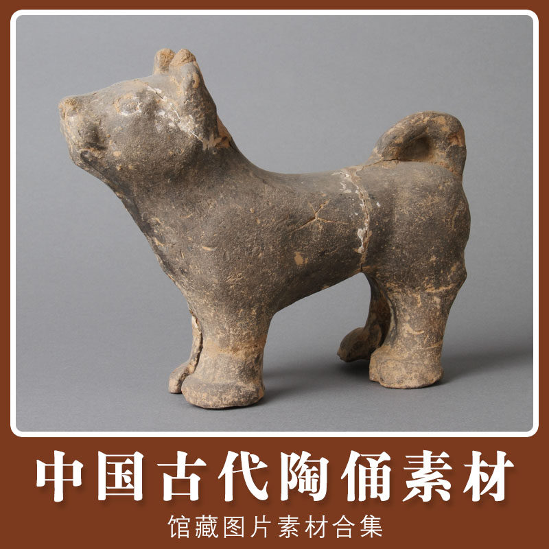 中国古代陶俑器馆藏图片 秦兵马俑 动物人物雕塑 博物馆文化物品