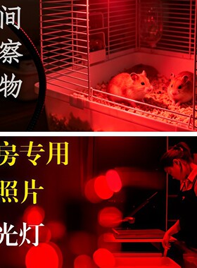 纯红光暗房安全灯夜间观察灯