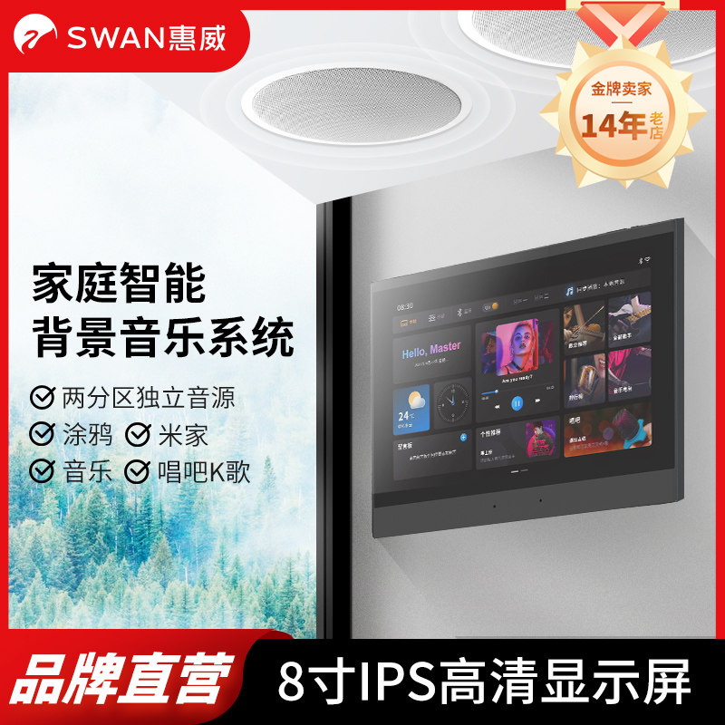 惠威家庭背景音乐主机控制器全屋智能家居系统吸顶喇叭音响套装