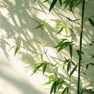 竹影新中式直播间背景墙中式庭院纱幔古风氛围主播高级感3d背景布