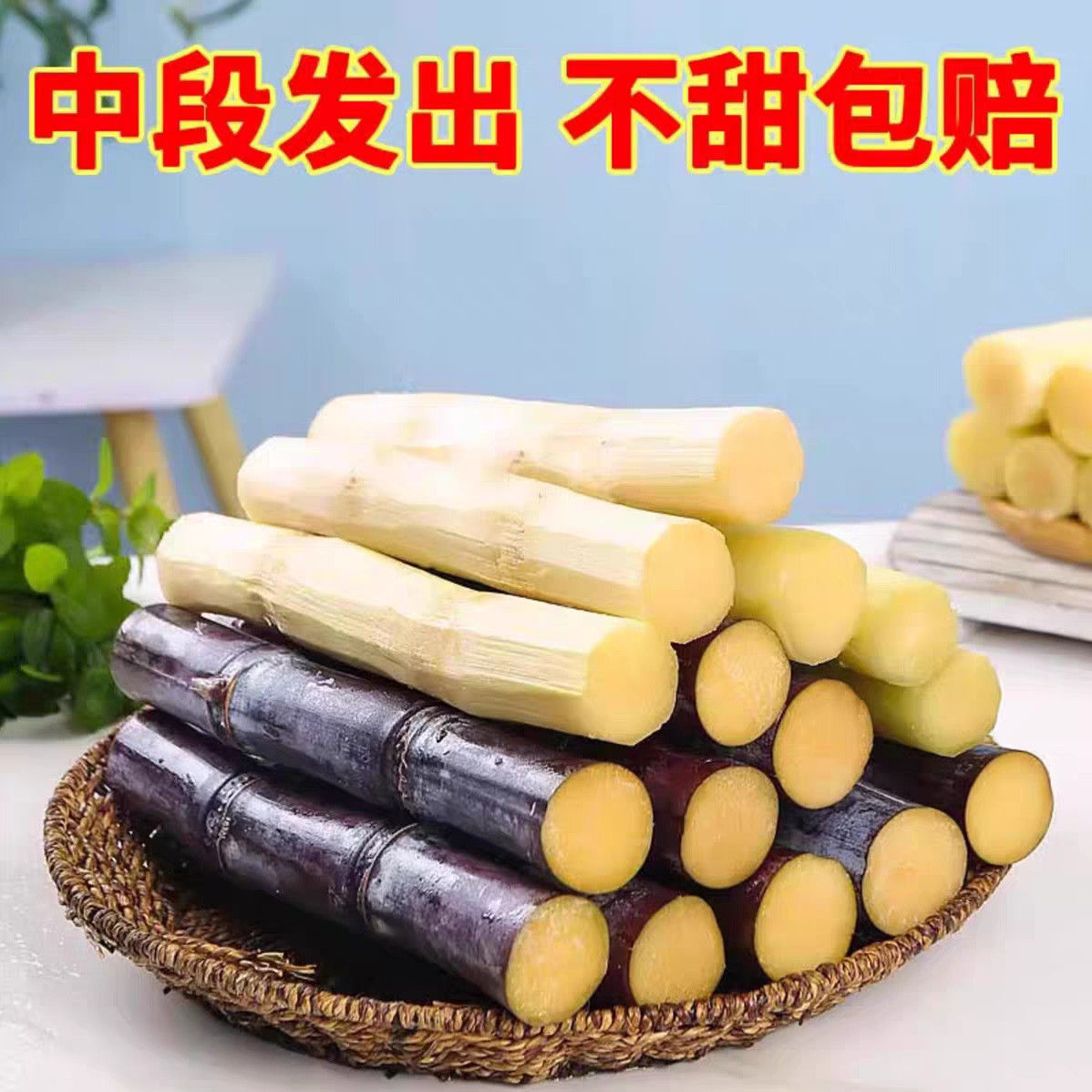 广西黑皮甘蔗水果时令当季新鲜水果包邮脆皮一级甘蔗特产脆甜榨汁