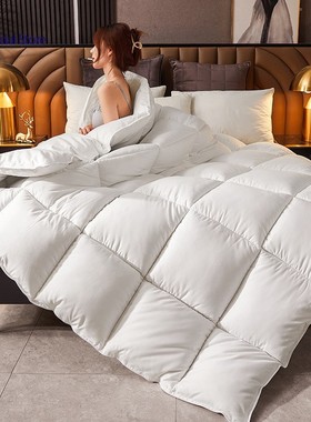 Down Duvet with Cotton Fabric Warm Quilt Comforter Blanket