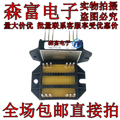 PSEI2X101-06 PSEI2X101/06 全新原装 质量保证 直插PSE12X101-06