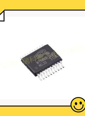 WT588D WT588D-20SS WT5880-20SS SSOP20 WT588D16-28SS SSOP28