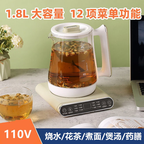 110V伏养生壶家用煎药壶多功能花茶煮茶壶出口美国加拿大小家电