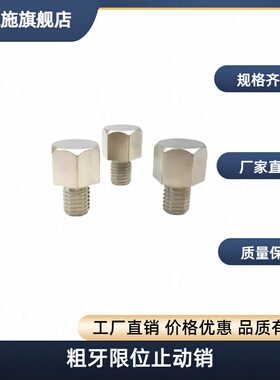 粗牙限位止动销SSTEH/STEHN/STFHN/SSTFH/PAC56/51/71/76