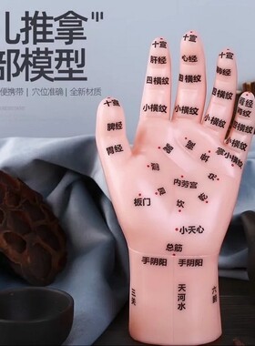 针灸推拿人体手部穴位教学模型