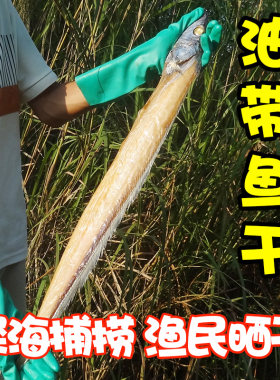 二斤装风干低盐新晒带鱼整条咸干