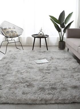 Carpets For Living Room Modern Sofas Grey Fluffy Carpet Bedr
