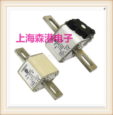全新熔断器170M5665现货直拍
