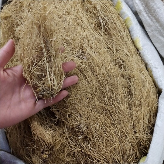 火神馆细辛500克包邮辽细辛无硫细辛根中药材北细辛白细辛