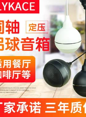 flykace 定压天花吊球喇叭 店铺餐厅背景音乐音响 吊顶吊装音箱