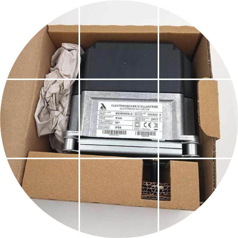 现货蓝姆泰克 LAMTEC 火焰探测器 659D31-20/3