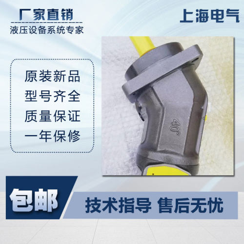 上海电气A2F28R6.1B3 A2F80R6.1P5 A2F107W6.1P6 柱塞泵回转马达