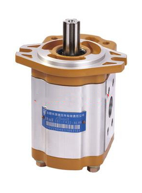 合肥长源液压齿轮油泵CBT-F410-AFP CBT-F416-ALP CBT-F432-AFHL