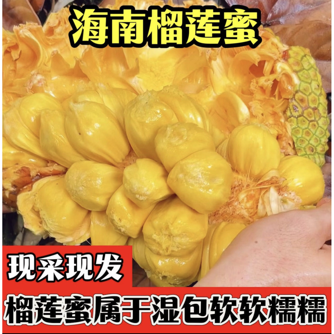 直播】海南榴莲蜜应季热带新鲜巴掌榴莲水果软糯香甜包邮现摘现发