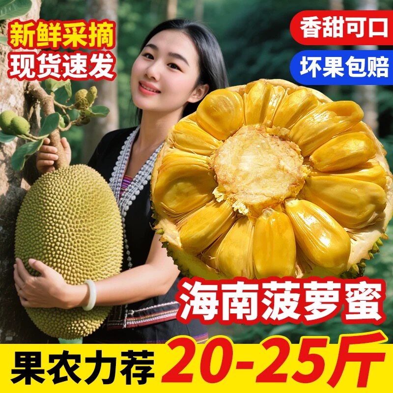 海南三亚黄肉干苞菠萝蜜新鲜采摘水果一整个包邮批发官方旗舰店