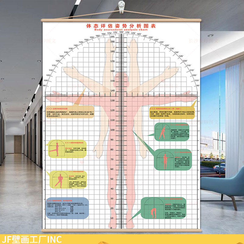 挂式体测评估图脊椎健康骨科诊室健身房私教医学体态姿势矫正系统