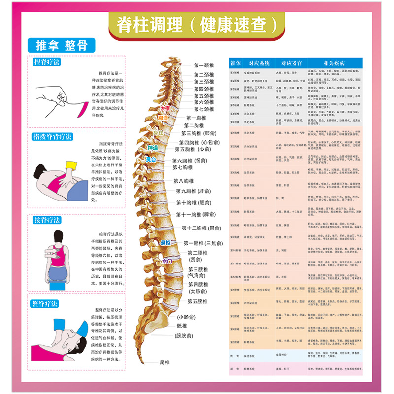 脊椎健康速查表墙纸中医馆养生康复理疗装饰壁画脊疗常用手法壁纸