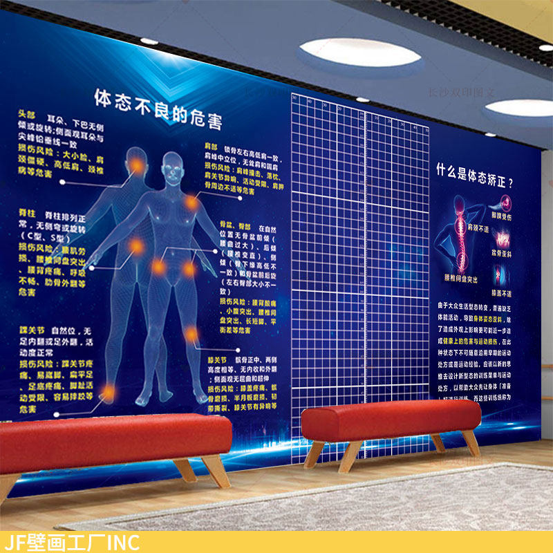 大尺寸体态评估表墙纸健身房装饰壁画减重训练姿势体测格子背景图