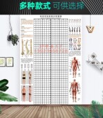 多种尺寸体态评估墙贴身体姿态矫正格子表健身房姿势体测背景图纸