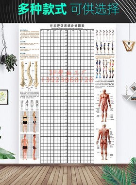多种尺寸体态评估墙贴身体姿态矫正格子表健身房姿势体测背景图纸