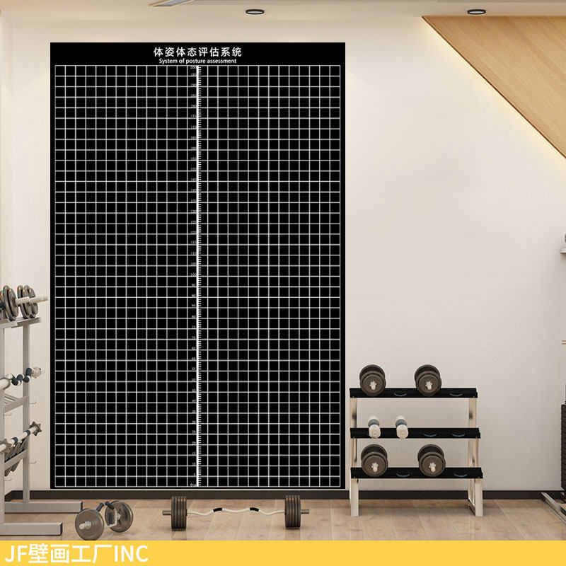 JF黑底白线体态评估表定制体测图