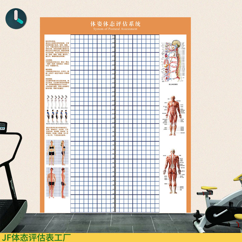 正骨整脊体态评估图诊室体测墙贴