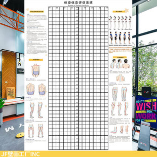 JF体姿体态评估系统舞蹈医诊健身房高低肩静态站立姿势身体测图表