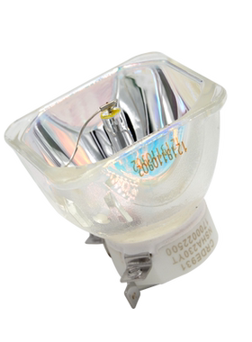 适用灯泡集大成SX1000