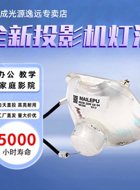 集大成适用于爱普生投影机灯泡过滤网EB-C713X  C715X C720XN 935W C710X C705W C700W ELPLP64