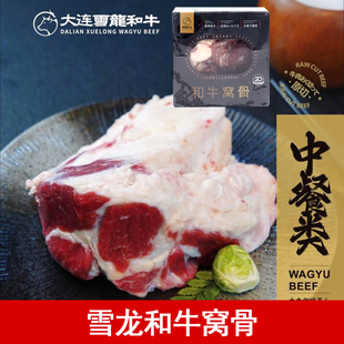 肉筋牛肉 1000g 牛窝骨 大连特产 炖煮熬汤红烧 雪龙和牛 膝盖骨