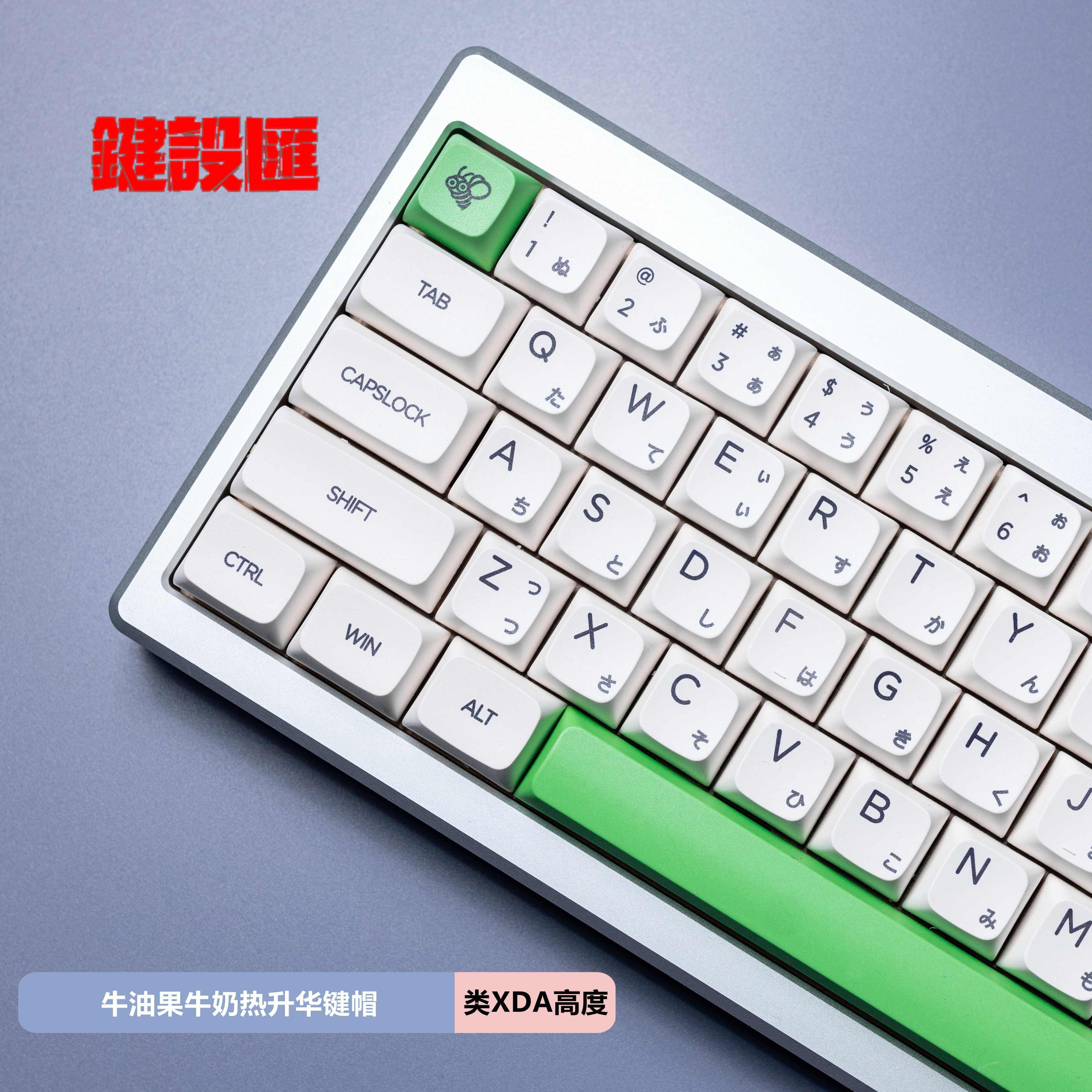 牛奶霓虹日文极简白类xda牛油果