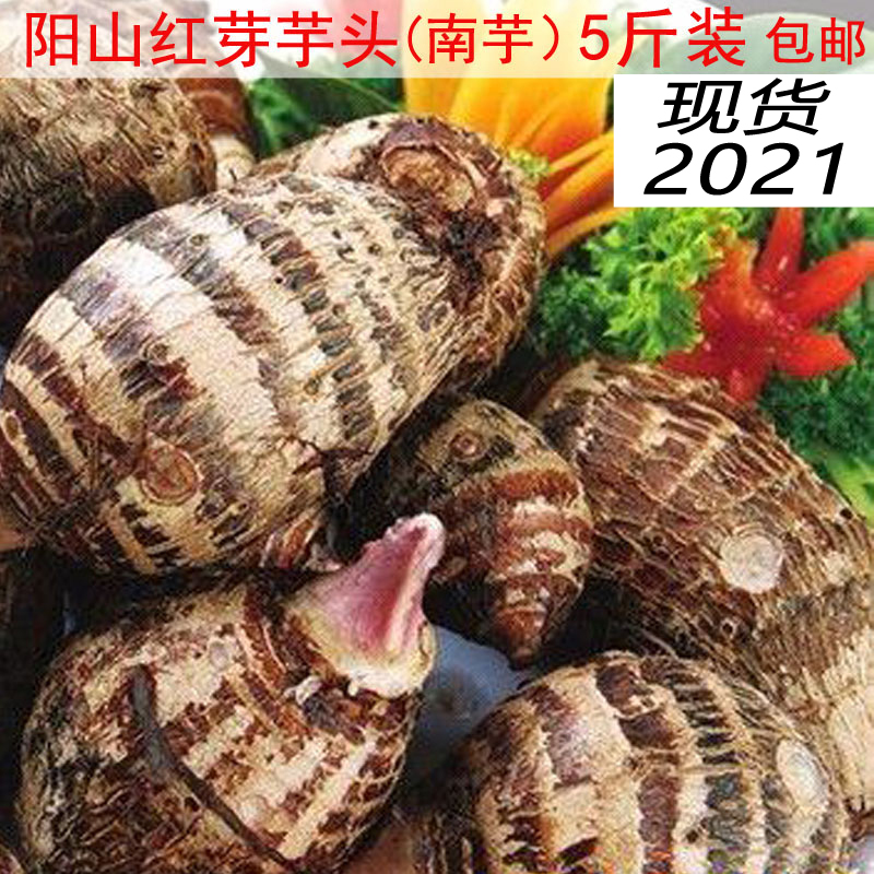 清远特产阳山红芽牙芋头南芋新鲜农家自种清远滑芋芋头仔5斤包