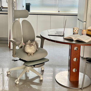 椅子电脑椅人体工学椅家用久坐办公书房椅子女生化妆椅 2025新款