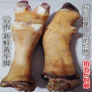 黄牛脚 新鲜黄牛蹄牛脚云南土黄牛脚带筋 非熟牛蹄牛蹄筋牛肉 包
