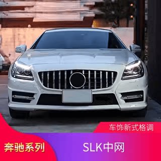 改装中网R172大标竖条奔驰