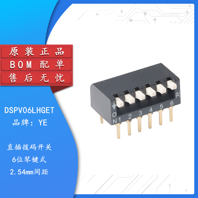 原装正品DSPV06LHGET拨码开关