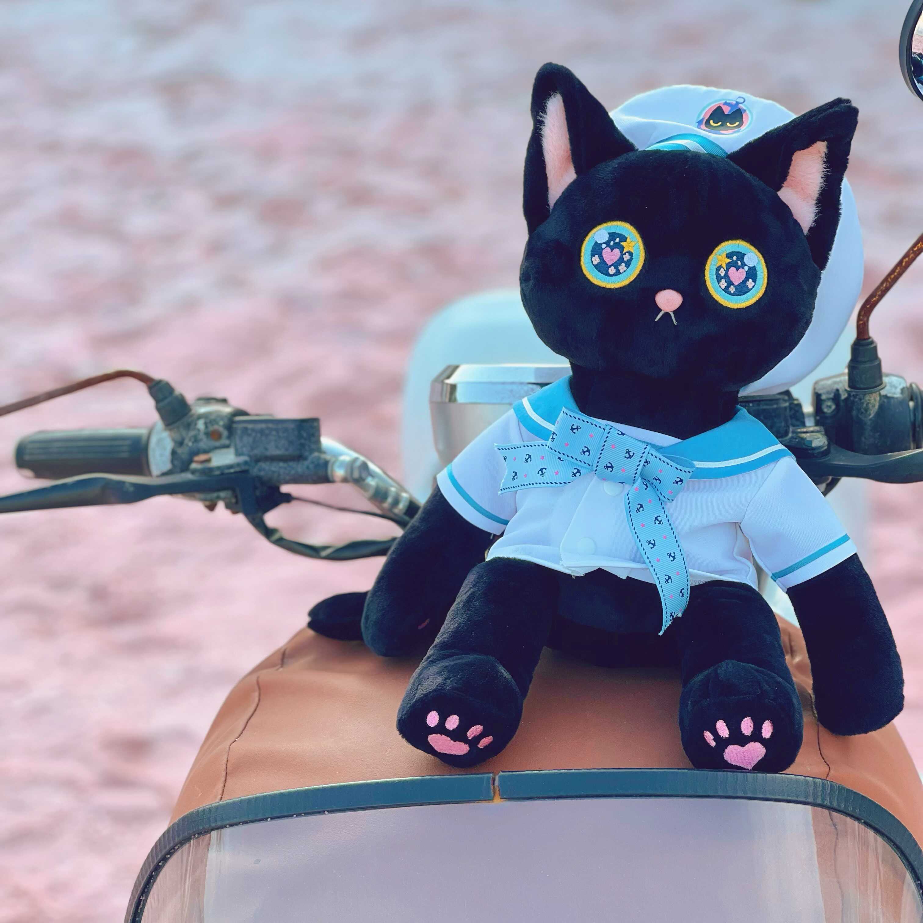 猫咪玩偶毛绒玩具星河设计黑猫