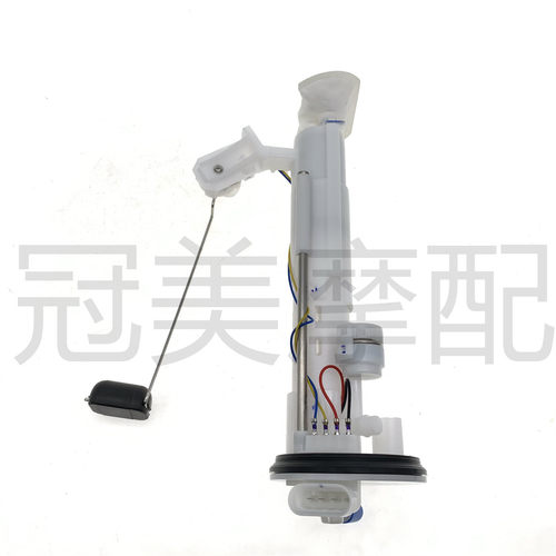 适用布雷斯通极昼ADV150踏板车BL150T-4D汽油泵 燃油泵 抽油泵