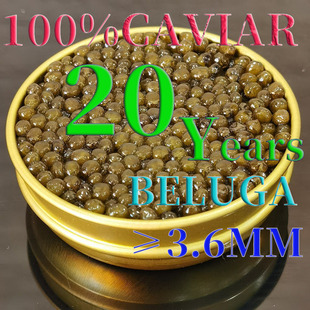 俄罗斯鲟鱼子酱CAVIAR新鲜即食20年50g达氏鳇BELUGA鱼籽寿司大粒