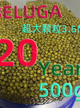 天然20年BELUGA鱼子酱500克出口欧美AAA超大颗粒奶酪香气即食刺身