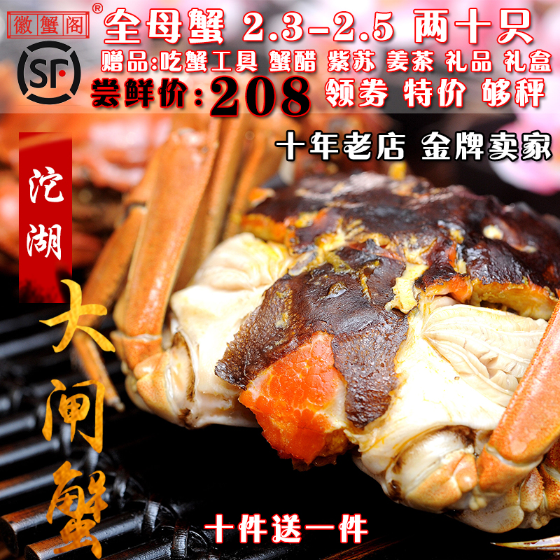 徽蟹閣禮盒裝大閘蟹五河沱湖螃蟹現貨鮮活2.5-2.3兩十只全母送禮