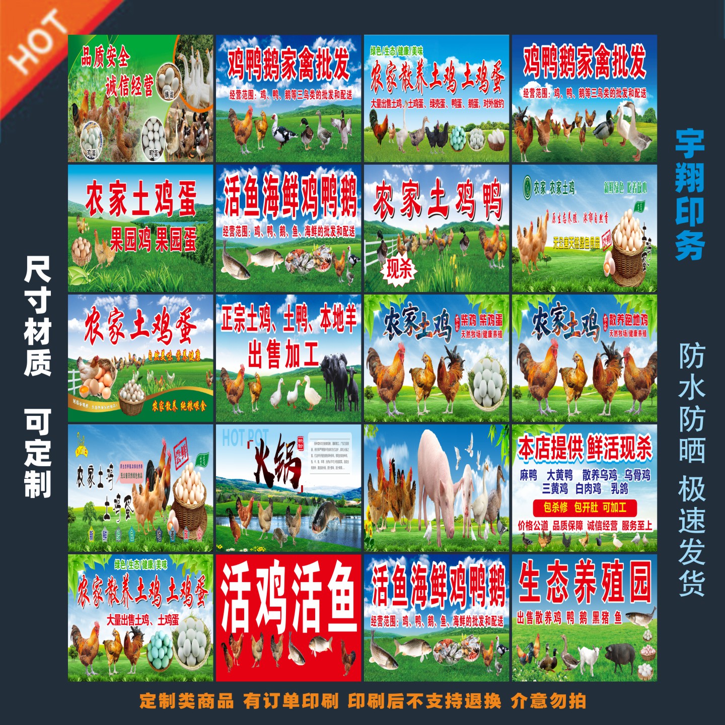 多款鸡鸭鹅家禽批发土鸡蛋活鱼海鲜海报贴纸广告招牌布小吃店贴画