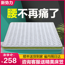 海马椰棕床垫 天然环保棕垫 1.2米单人 薄8十10公分厚 榻榻米硬垫