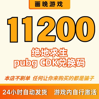 11200cdk pubgg币cdk绝地求生吃鸡兑换码 官方正品 全天秒拍秒发